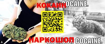 соль ск Будённовск