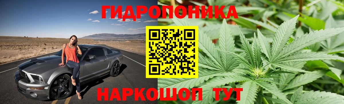Мончегорск  Конопля конопля  Канабис сатива  Конопля SATIVA & INDICA  Вход с VPN 